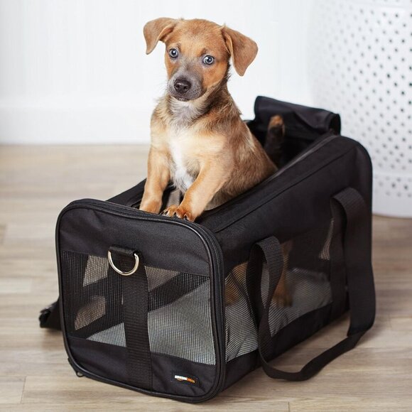 Soft-Sided Mesh Pet Travel Carrier for Dog, Cat, Medium, 16.5" L x 10.6" W x 11" - Picture 12 of 12